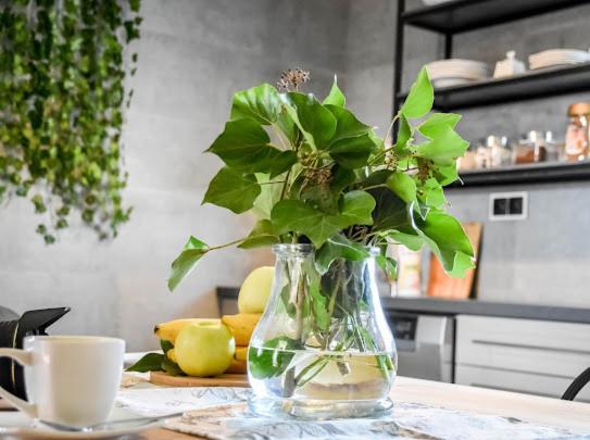 Atlas Chmur Apartament Biały Dunajec Exteriér fotografie